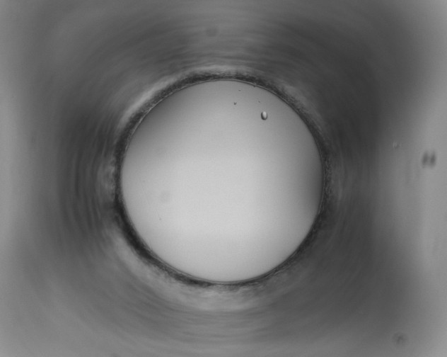 X0000113220016200910011356