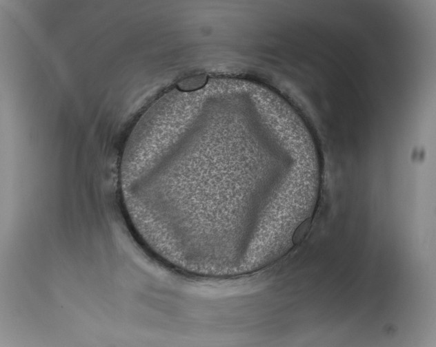 X0000113220017200910011356