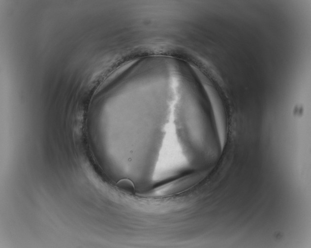 X0000113220018200910011356
