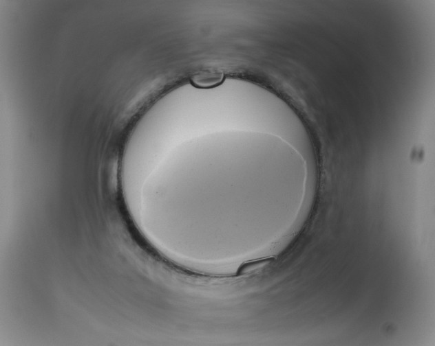 X0000113220019200910011356