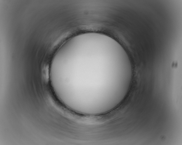 X0000113220020200910011356