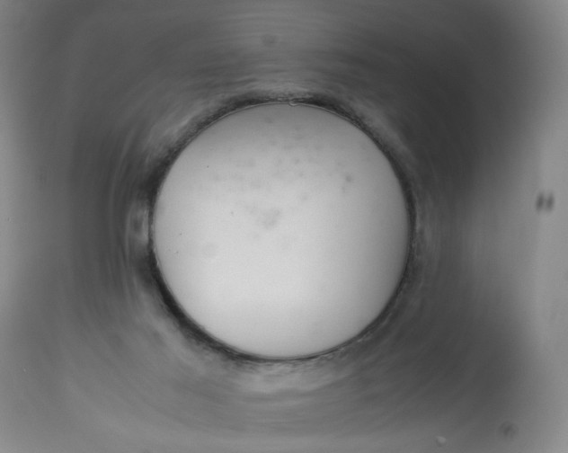 X0000113220021200910011356