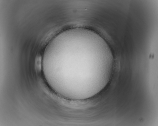 X0000113220022200910011356