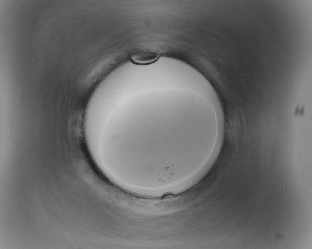 X0000113220023200910011356