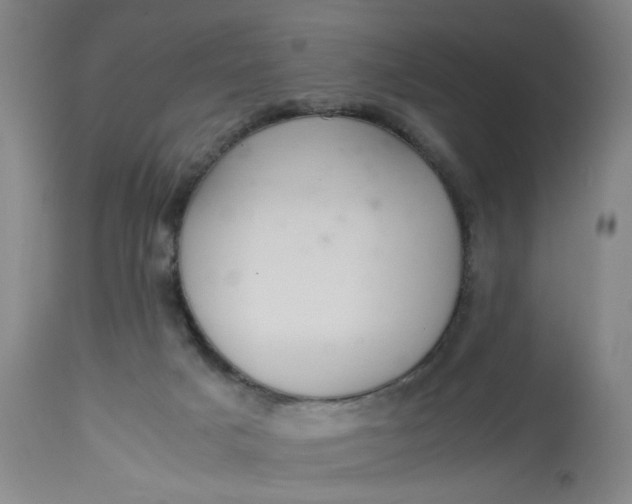 X0000113220025200910011356