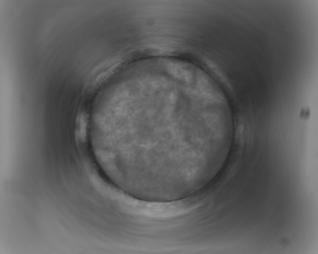 X0000113220026200910011356