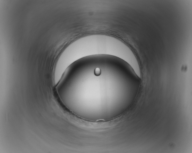 X0000113220027200910011356