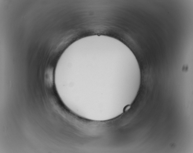 X0000113220028200910011356