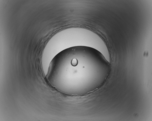 X0000113220029200910011356