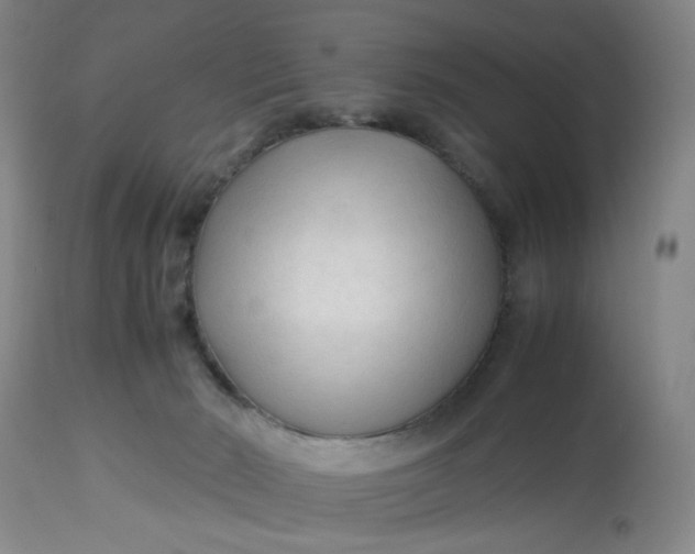 X0000113220030200910011356