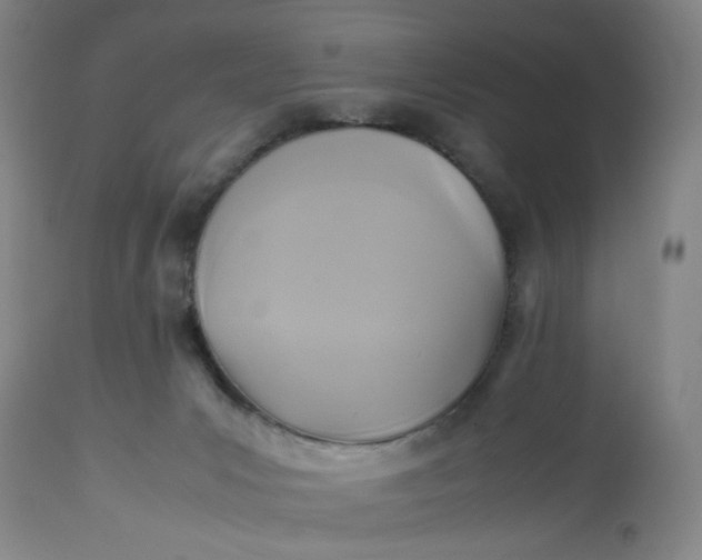 X0000113220031200910011356