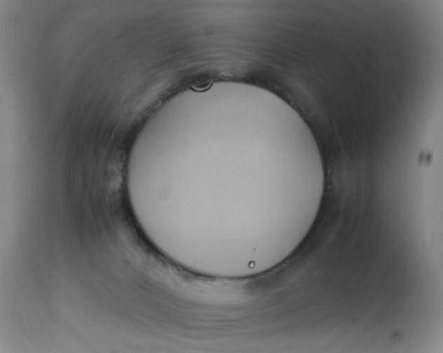 X0000113220032200910011356