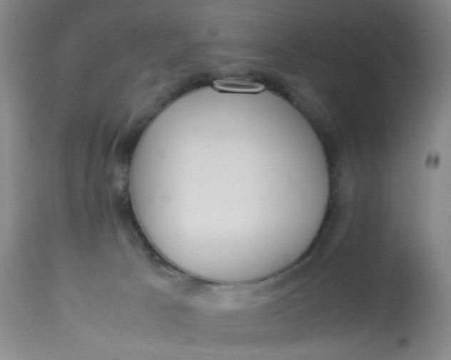 X0000113220033200910011356