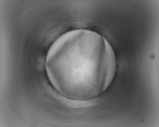 X0000113220034200910011356