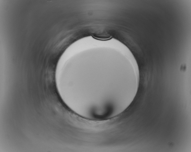 X0000113220035200910011356
