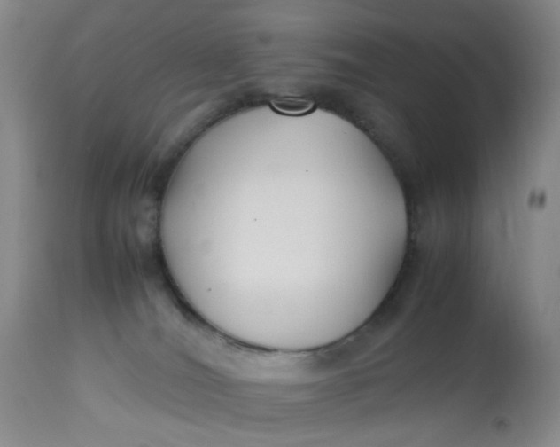 X0000113220036200910011356