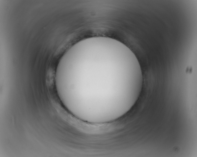 X0000113220038200910011356