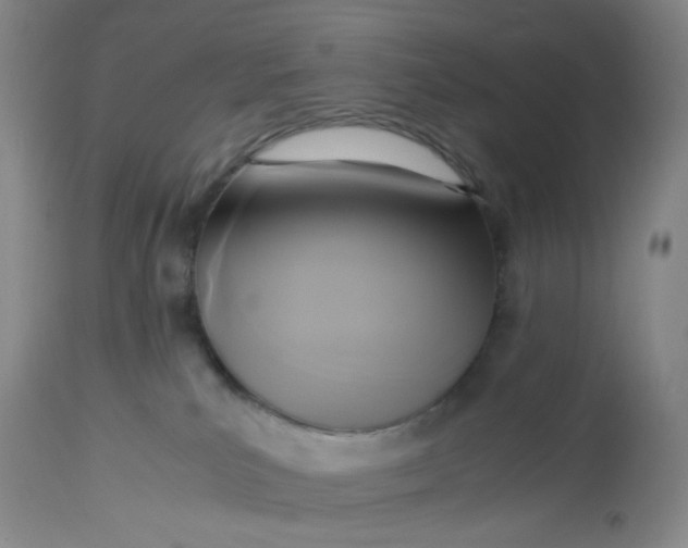 X0000113220039200910011356