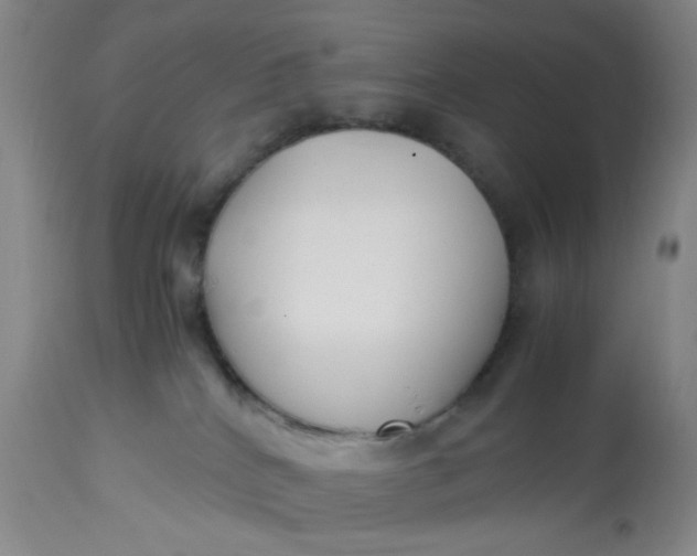 X0000113220040200910011356