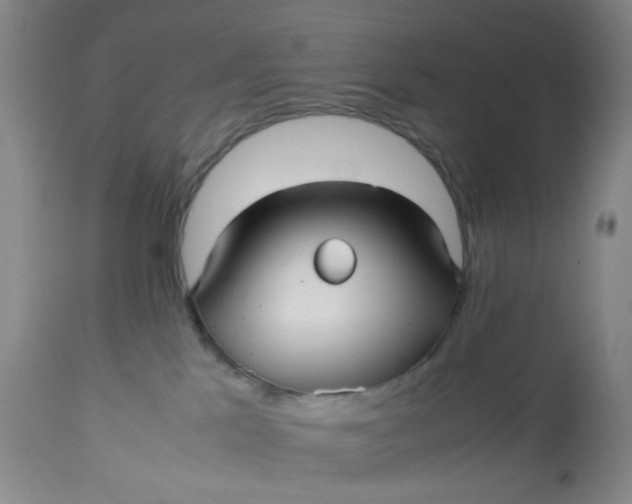 X0000113220041200910011356