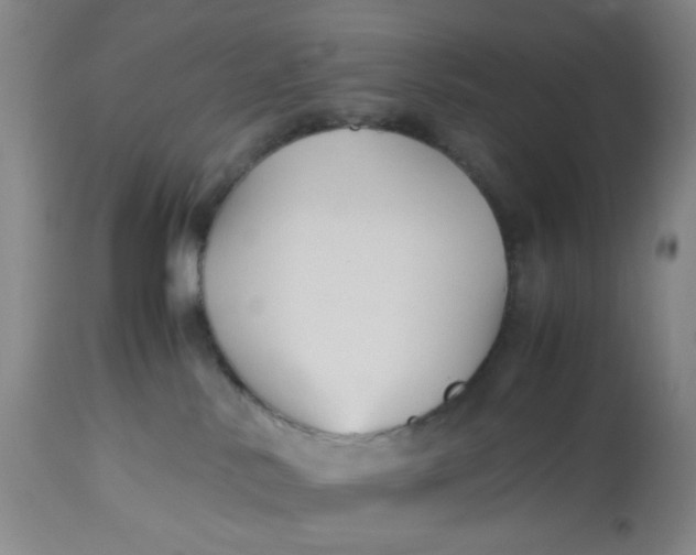 X0000113220042200910011356