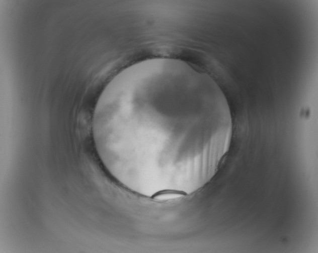 X0000113220043200910011356