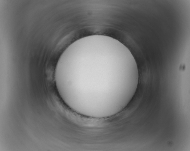 X0000113220044200910011356