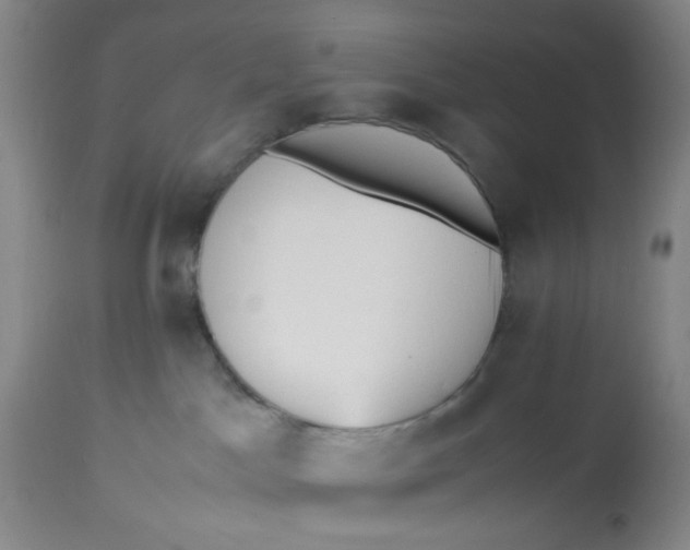 X0000113220045200910011356