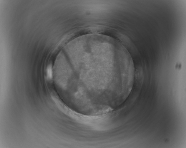 X0000113220046200910011356