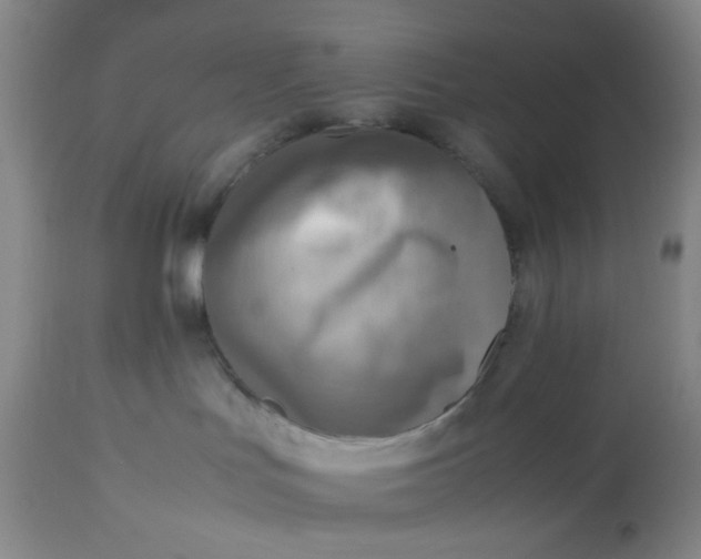 X0000113220047200910011356