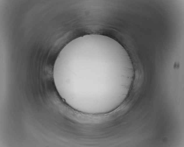 X0000113220048200910011356