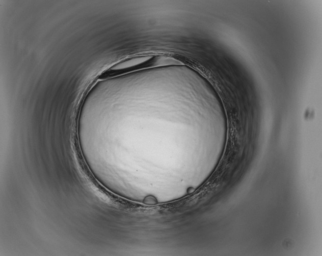 X0000113220049200910011355