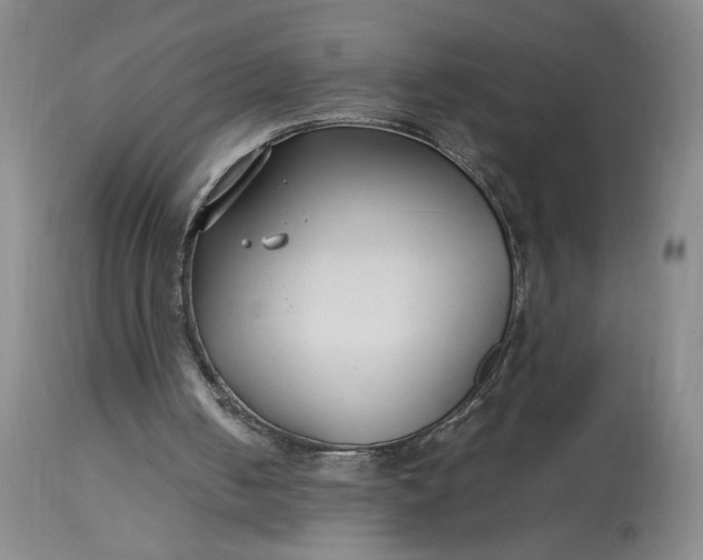 X0000113220050200910011355