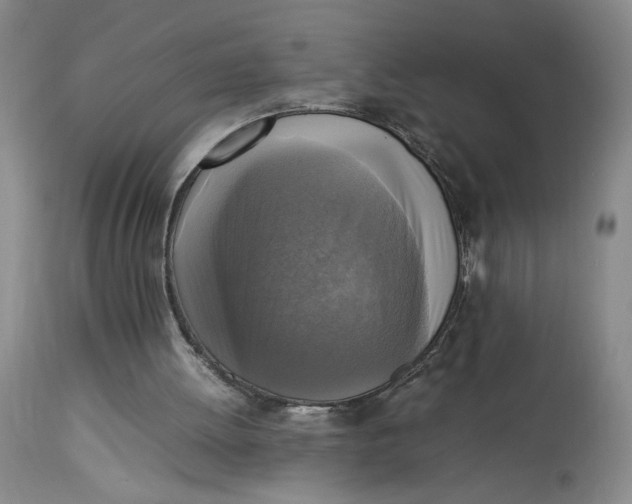 X0000113220052200910011355