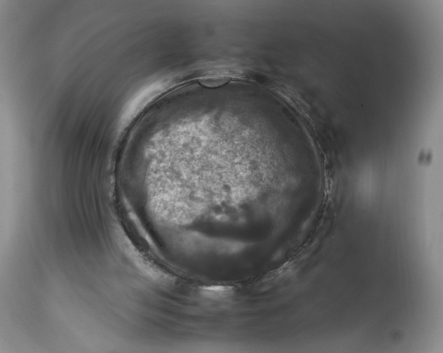 X0000113220053200910011355