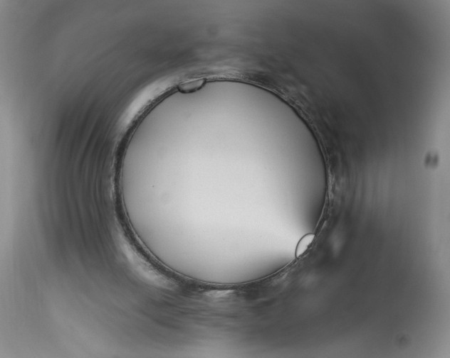 X0000113220054200910011355