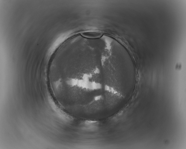 X0000113220055200910011355
