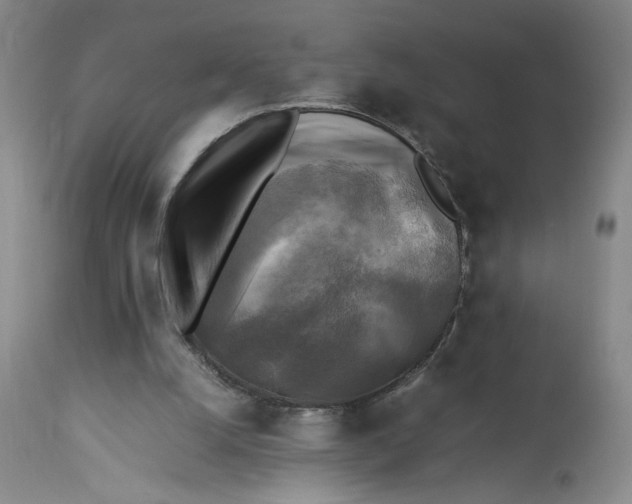 X0000113220056200910011355