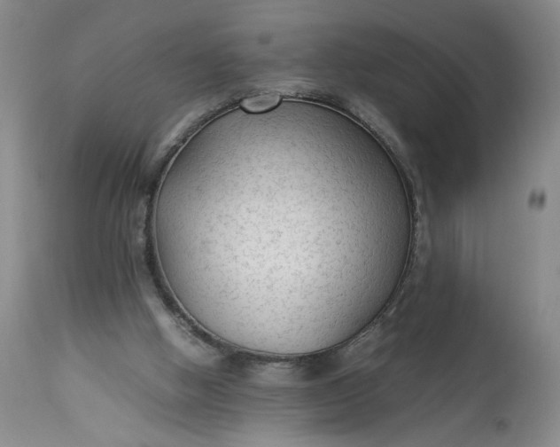 X0000113220058200910011355