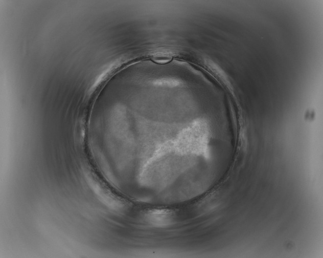 X0000113220059200910011355