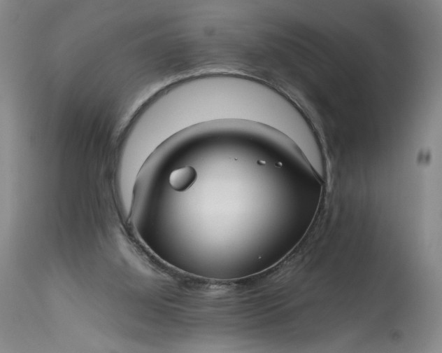 X0000113220060200910011355