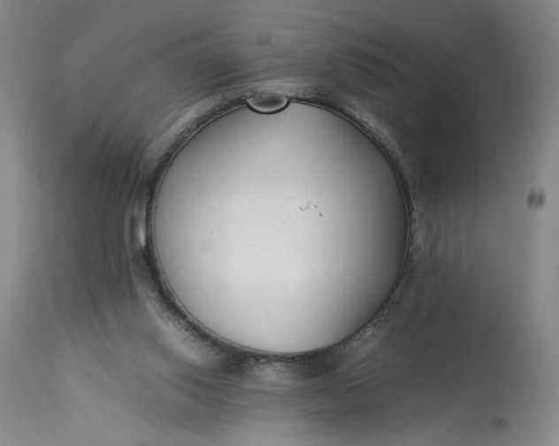 X0000113220062200910011355