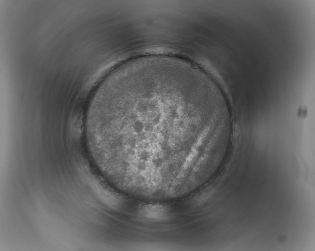 X0000113220063200910011355