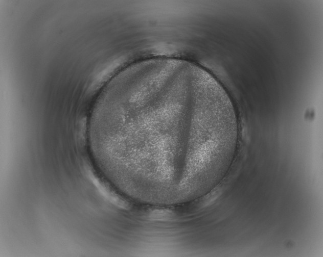 X0000113220066200910011356