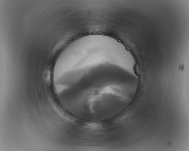X0000113220067200910011356