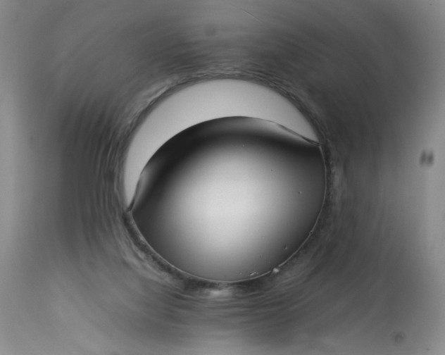 X0000113220068200910011356