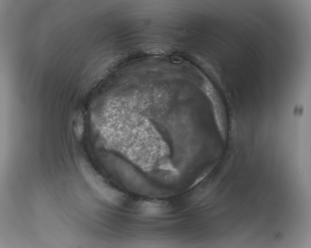 X0000113220069200910011356