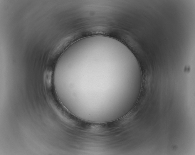 X0000113220070200910011356