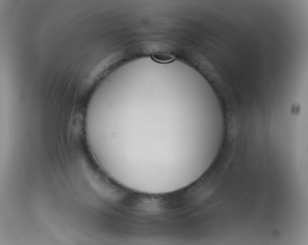X0000113220071200910011356