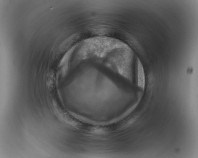 X0000113220073200910011356